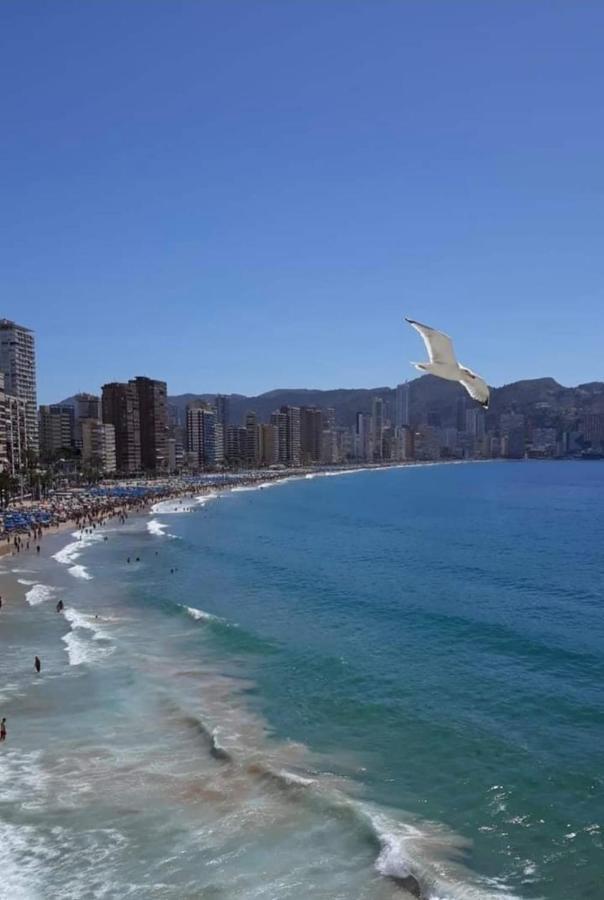 San Remo Levante Beach Apartments ベニドルム エクステリア 写真